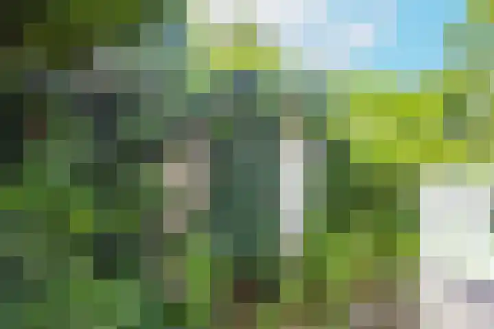 Homeruslaan 55 Utrecht thumbnail 17