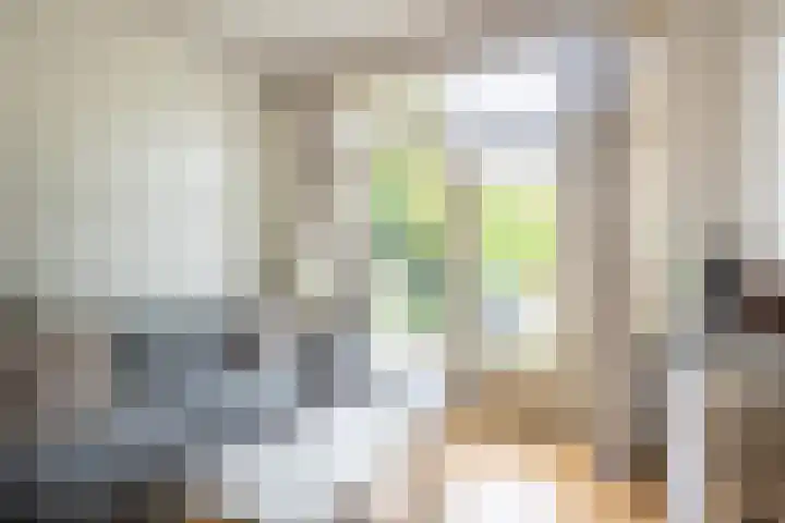 Homeruslaan 55 Utrecht thumbnail 21
