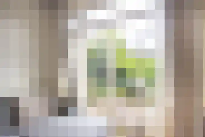 Homeruslaan 55 Utrecht thumbnail 22