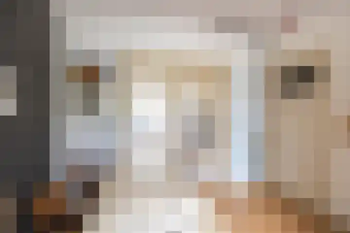 Homeruslaan 55 Utrecht thumbnail 23