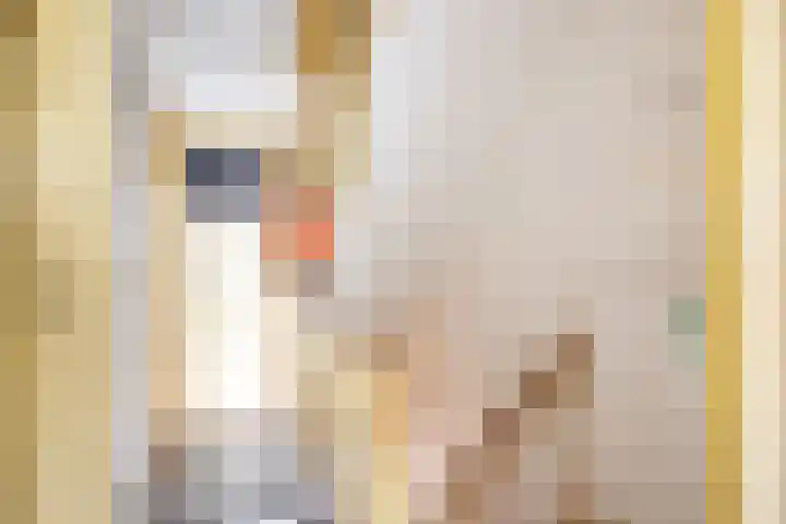 Homeruslaan 55 Utrecht thumbnail 24