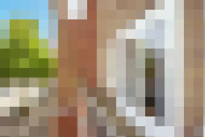 Homeruslaan 55 Utrecht thumbnail 28
