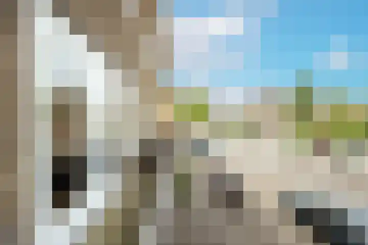 Homeruslaan 55 Utrecht thumbnail 29