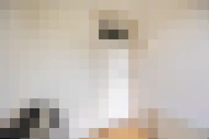 Homeruslaan 55 Utrecht thumbnail 31