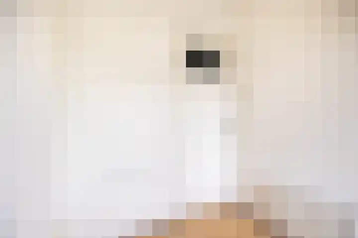 Homeruslaan 55 Utrecht thumbnail 44