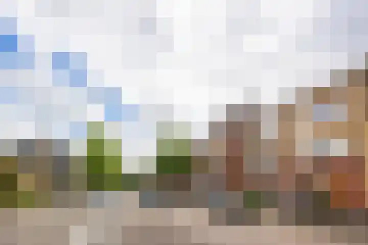 Homeruslaan 55 Utrecht thumbnail 56