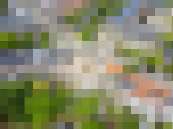 Homeruslaan 55 Utrecht thumbnail 60