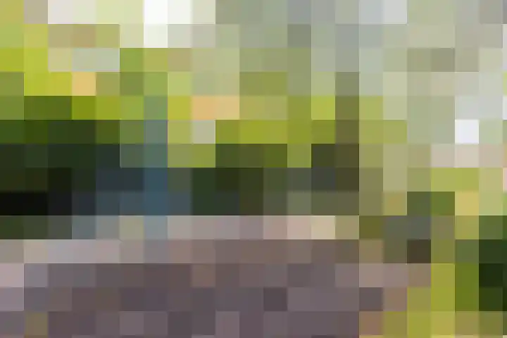 Homeruslaan 55 Utrecht thumbnail 64