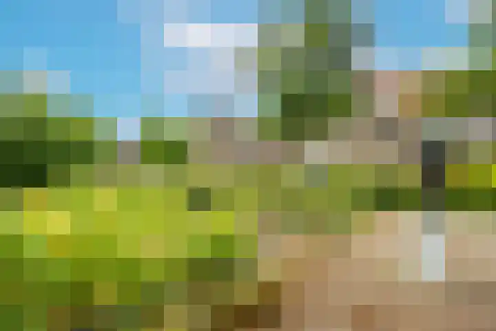 Homeruslaan 55 Utrecht thumbnail 65