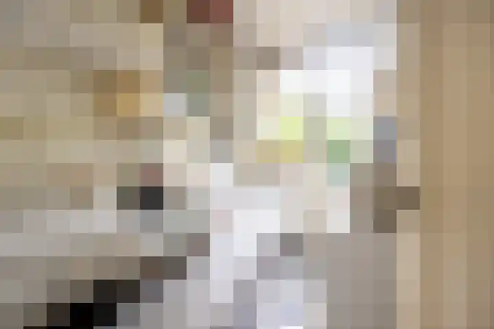 Homeruslaan 55 Utrecht thumbnail 9