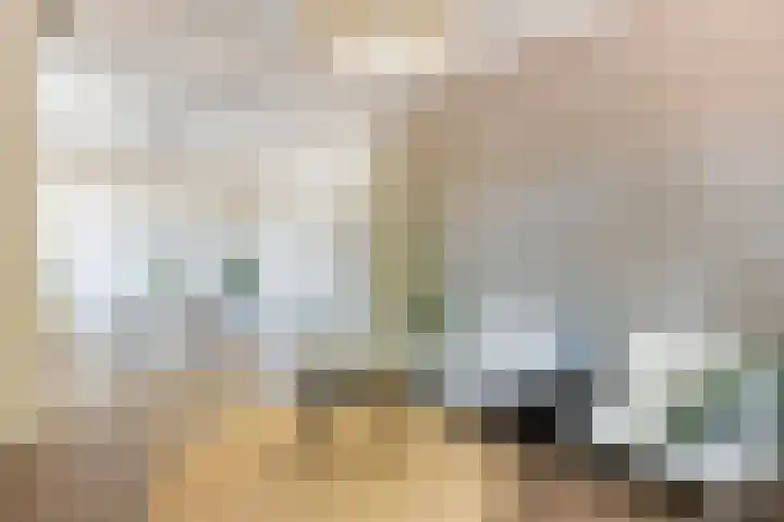 Homeruslaan 70 Utrecht thumbnail 10