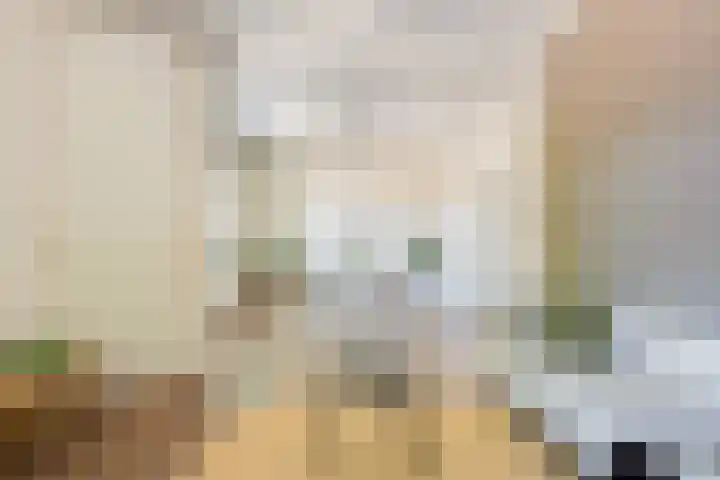 Homeruslaan 70 Utrecht thumbnail 11