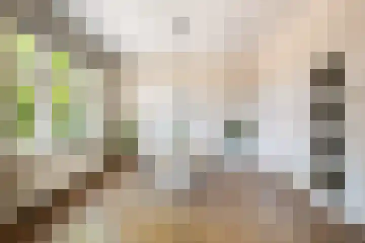 Homeruslaan 70 Utrecht thumbnail 13
