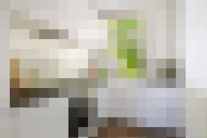 Homeruslaan 70 Utrecht thumbnail 14