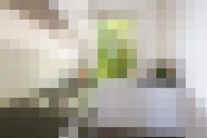 Homeruslaan 70 Utrecht thumbnail 15
