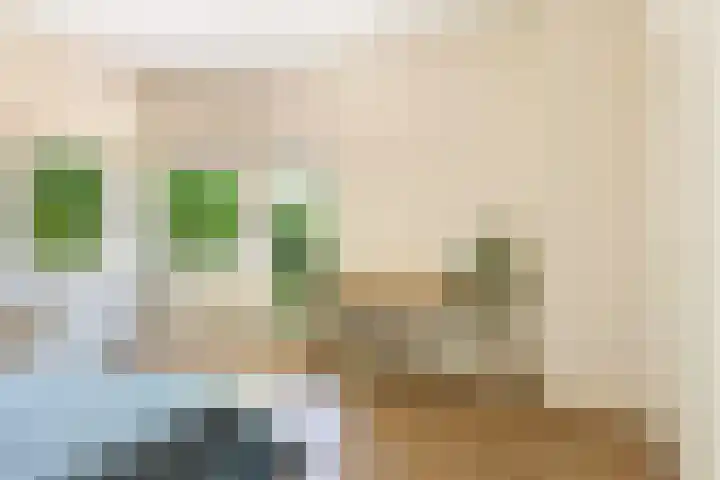Homeruslaan 70 Utrecht thumbnail 19
