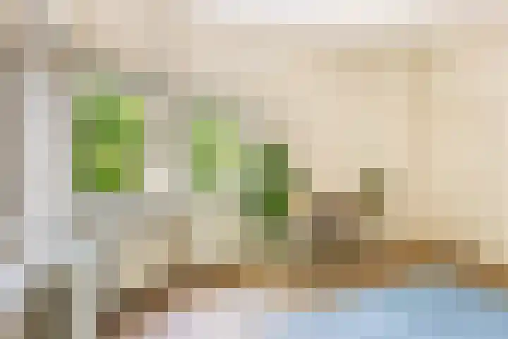 Homeruslaan 70 Utrecht thumbnail 21