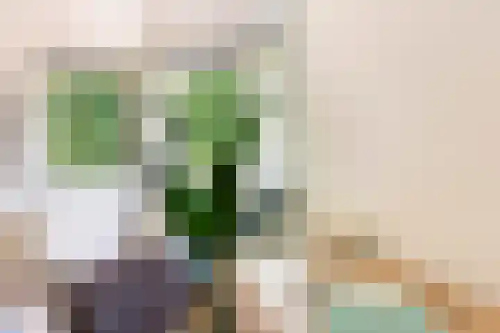 Homeruslaan 70 Utrecht thumbnail 22