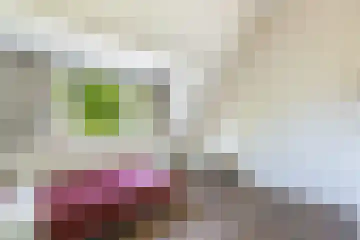 Homeruslaan 70 Utrecht thumbnail 23