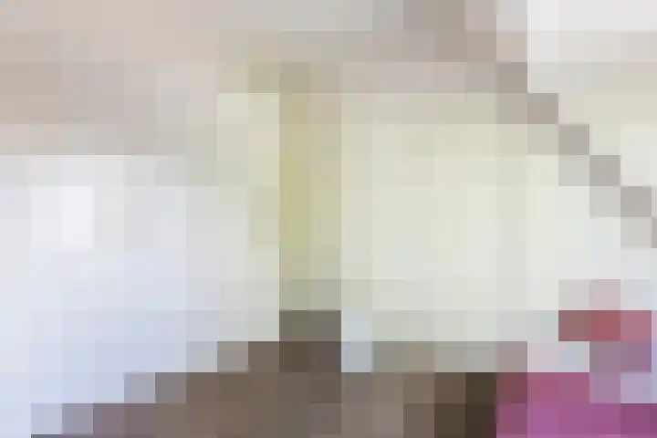 Homeruslaan 70 Utrecht thumbnail 25