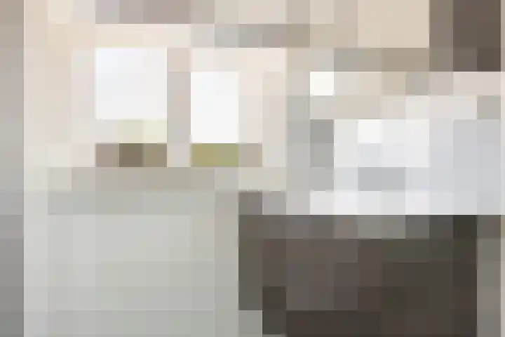 Homeruslaan 70 Utrecht thumbnail 27