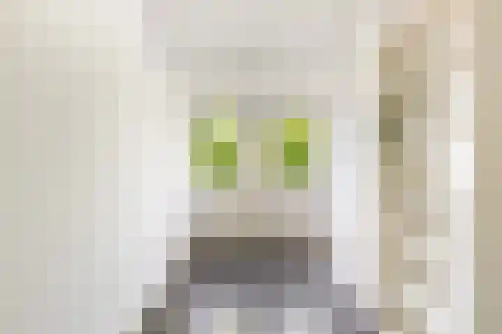 Homeruslaan 70 Utrecht thumbnail 28