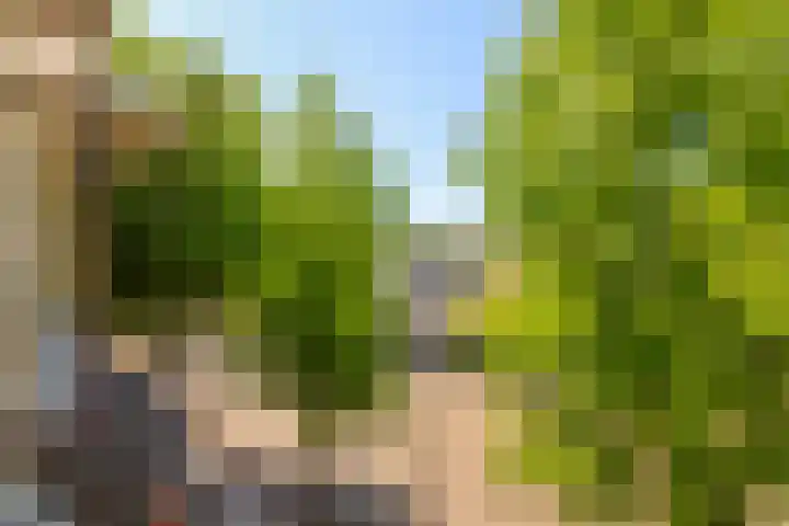 Homeruslaan 70 Utrecht thumbnail 30