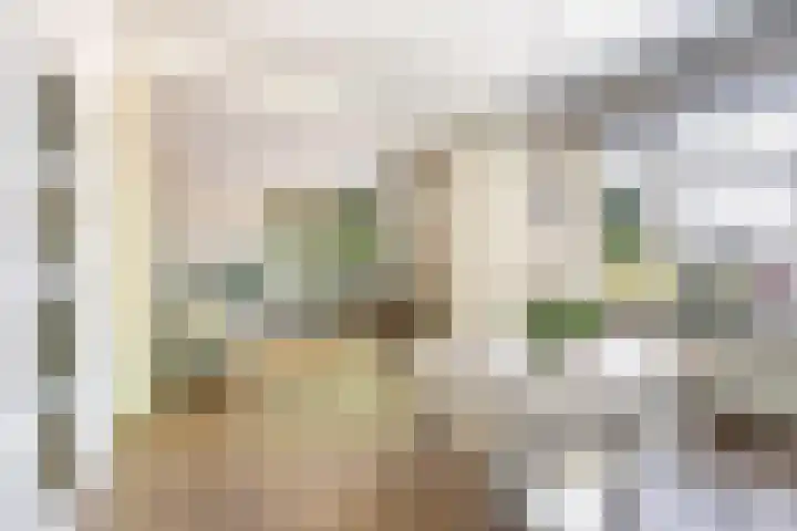 Homeruslaan 70 Utrecht thumbnail 5