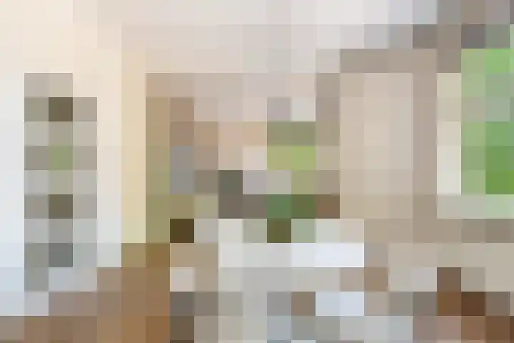Homeruslaan 70 Utrecht thumbnail 6