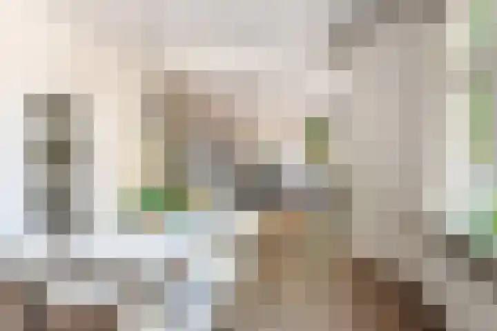 Homeruslaan 70 Utrecht thumbnail 7