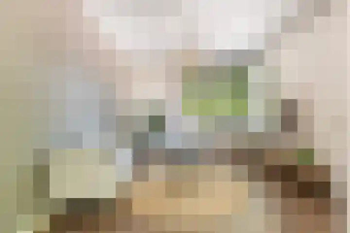 Homeruslaan 70 Utrecht thumbnail 8