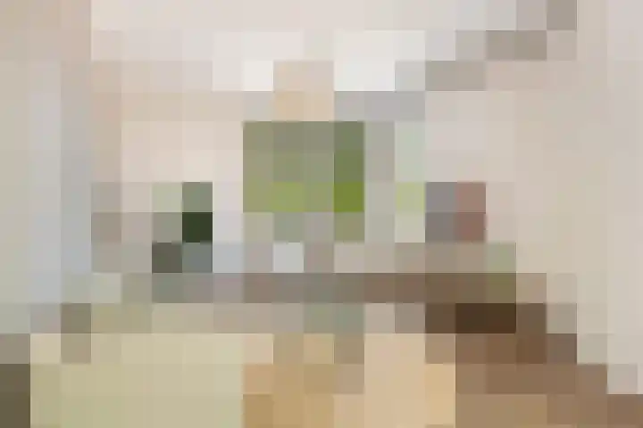Homeruslaan 70 Utrecht thumbnail 9