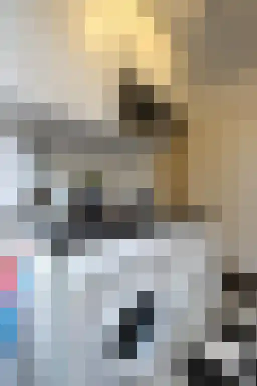 Homeruslaan Utrecht thumbnail 4