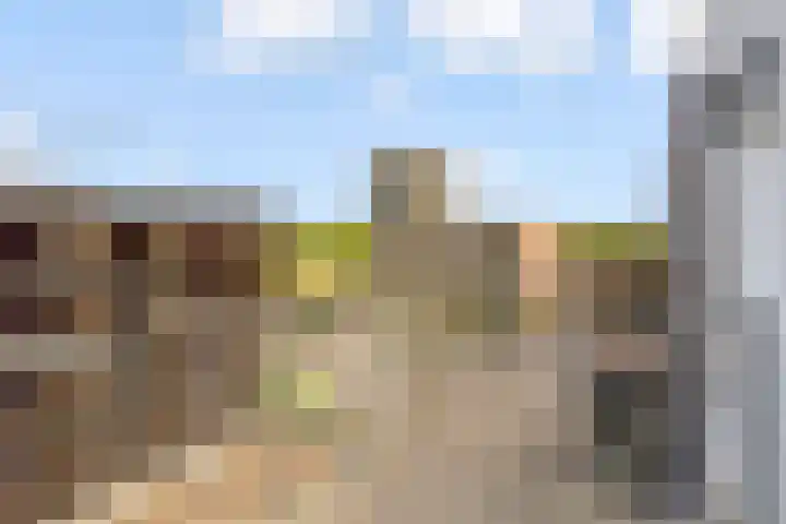 Homerusplein 100 Almere thumbnail 12