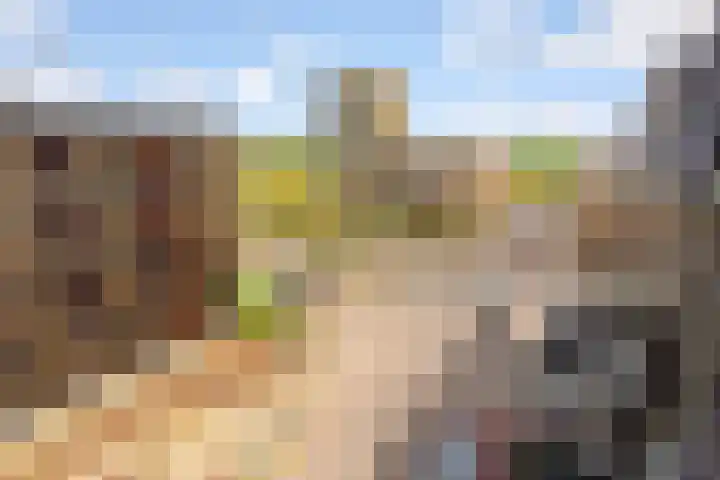 Homerusplein 100 Almere thumbnail 13