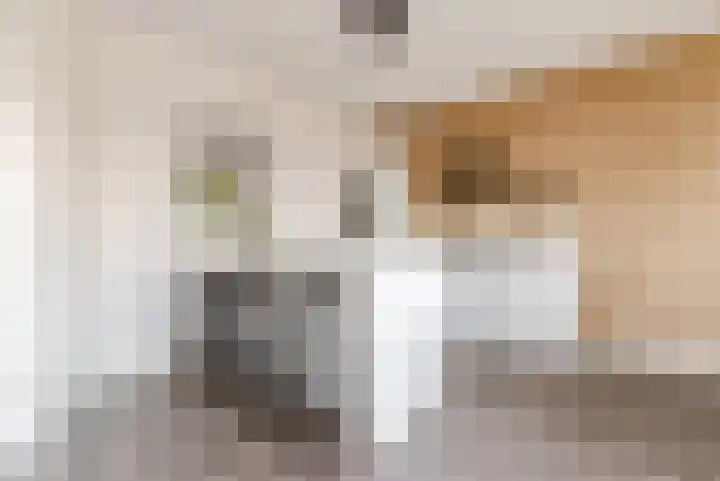 Homerusplein 100 Almere thumbnail 17