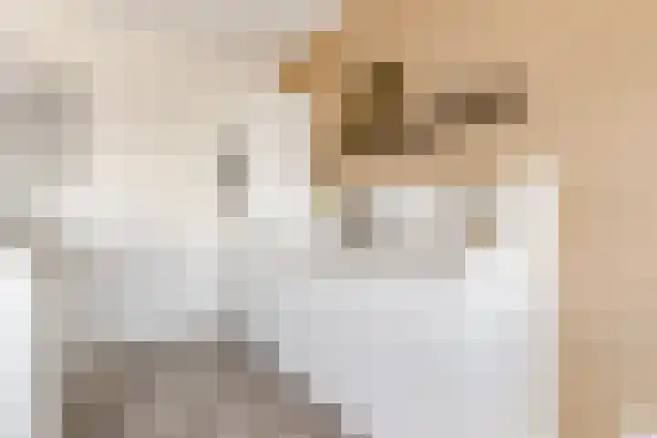Homerusplein 100 Almere thumbnail 21