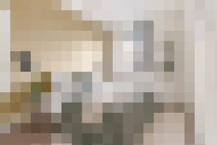 Homerusplein 100 Almere thumbnail 23