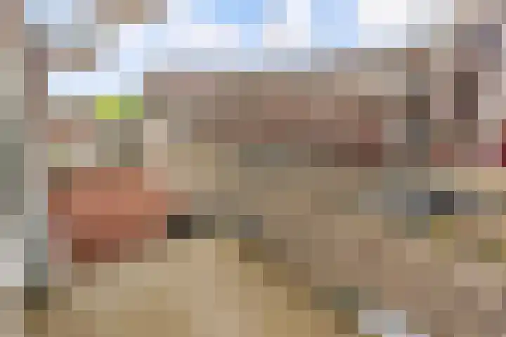 Homerusplein 64 Almere thumbnail 11