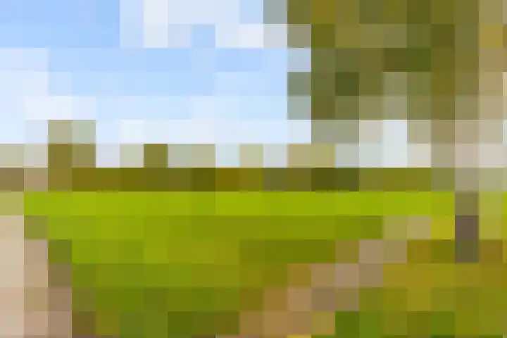 Homerusplein 64 Almere thumbnail 28