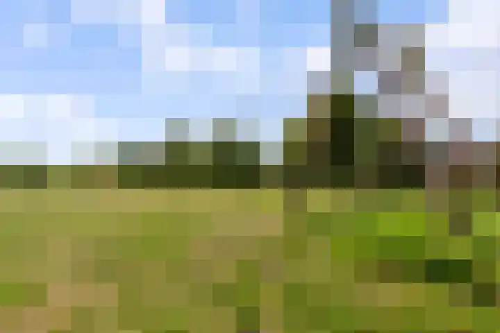 Homerusplein 74 Almere thumbnail 32