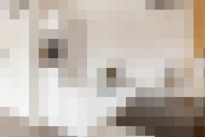 Homerusplein 90 Almere thumbnail 19