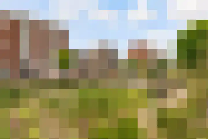 Homerusplein 90 Almere thumbnail 39