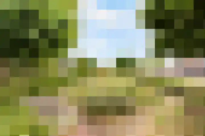 Homerusplein 90 Almere thumbnail 40