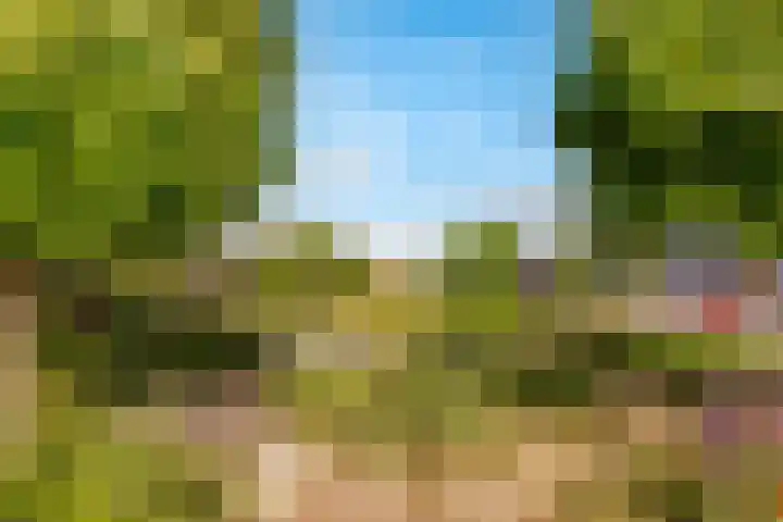 Homerusplein 92 Almere thumbnail 40