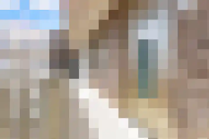 Homerusplein 92 Almere thumbnail 7