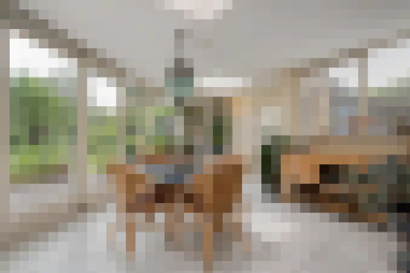 Homerusstraat 106 Apeldoorn thumbnail 21