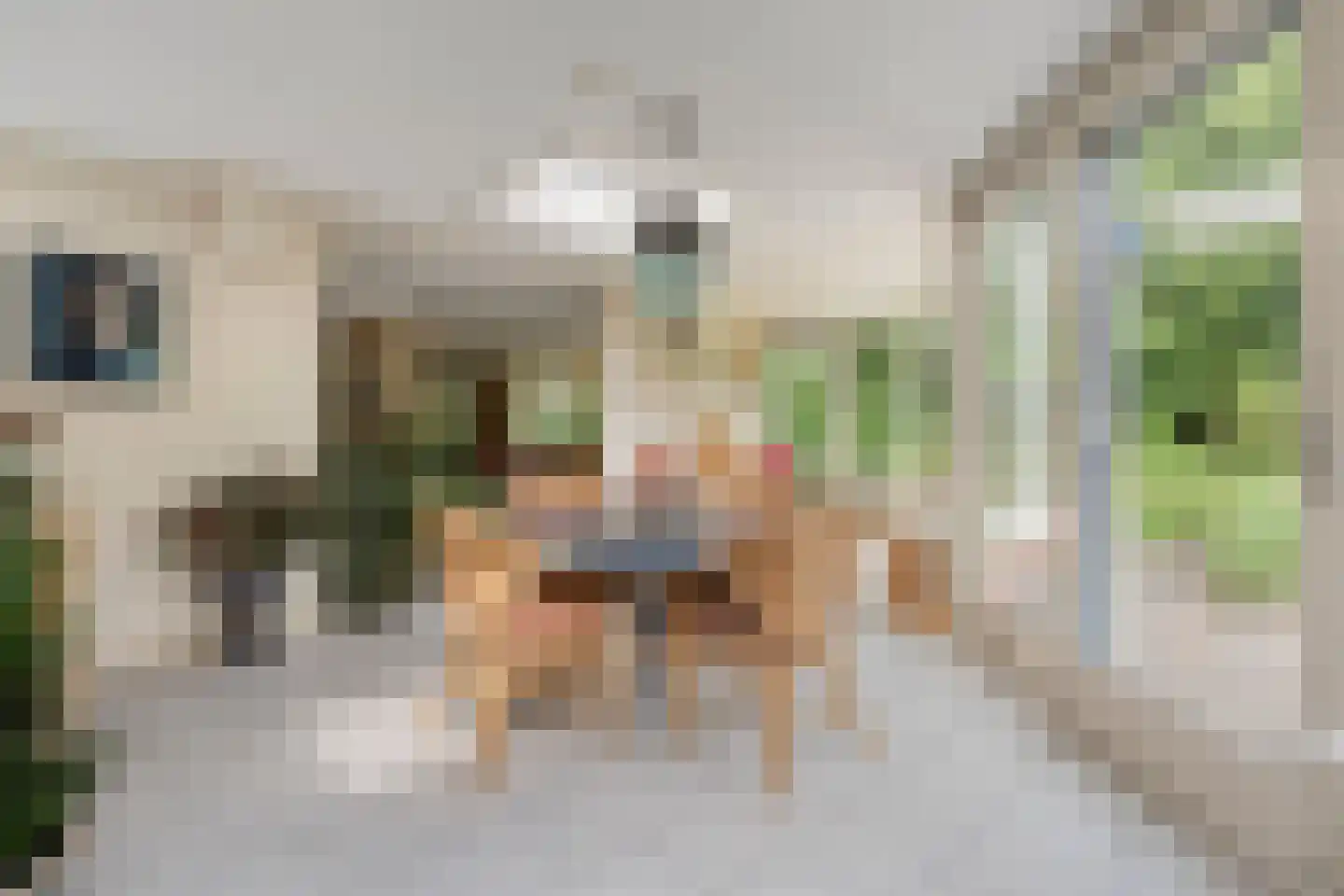 Homerusstraat 106 Apeldoorn thumbnail 22
