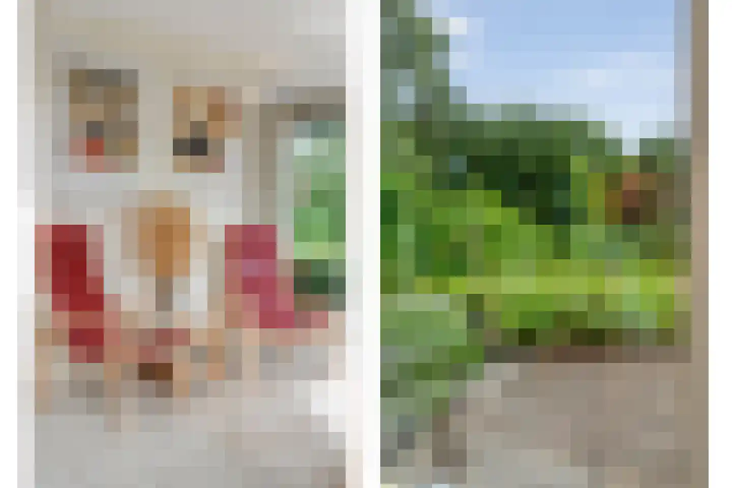 Homerusstraat 106 Apeldoorn thumbnail 23