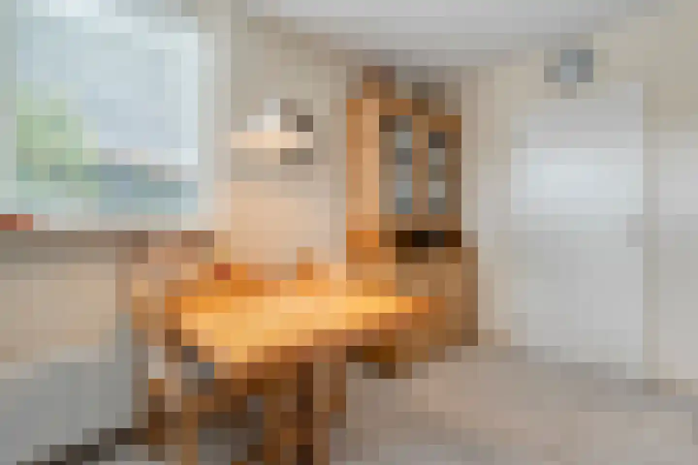 Homerusstraat 106 Apeldoorn thumbnail 29